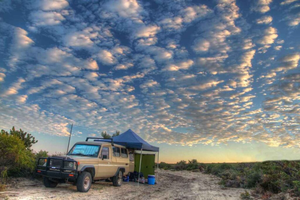 Beginner campsite on flat ground near trees and facilities