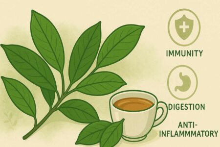 Soursop leaves and tea with icons for digestion, immunity, and inflammation relief.