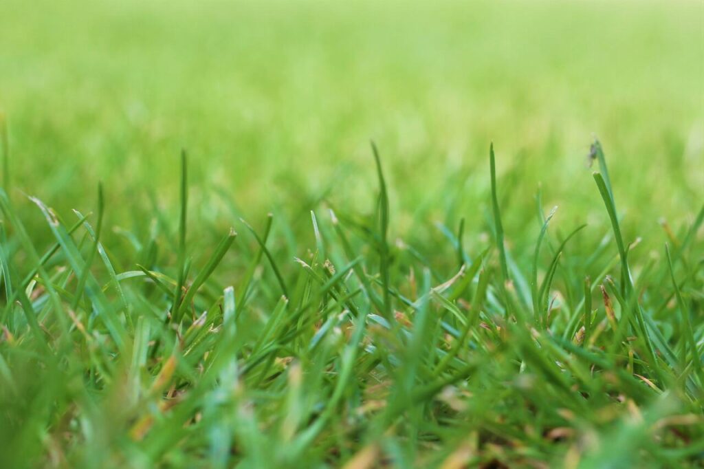 Blended backyard and virtual hangout space designed for avatars.