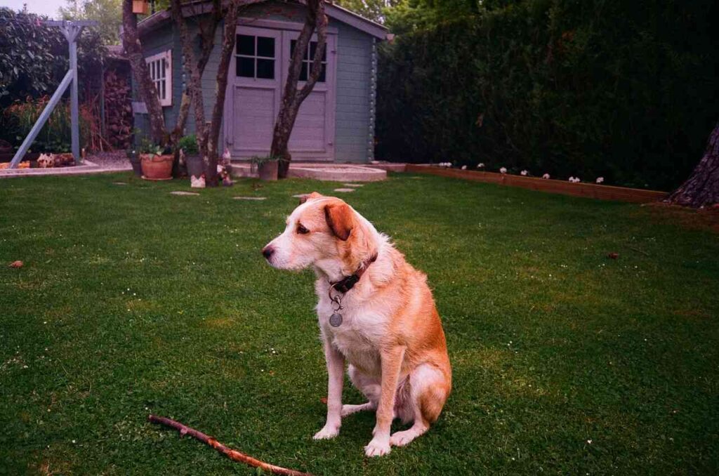 Garden buildings repurposed as office, studio, and retreat spaces