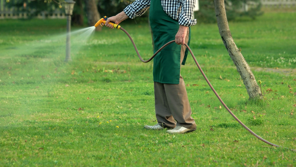 How to Spot Irrigation Leaks Before They Damage Your Yard Irrigation leak near sprinkler causing water pooling in yard